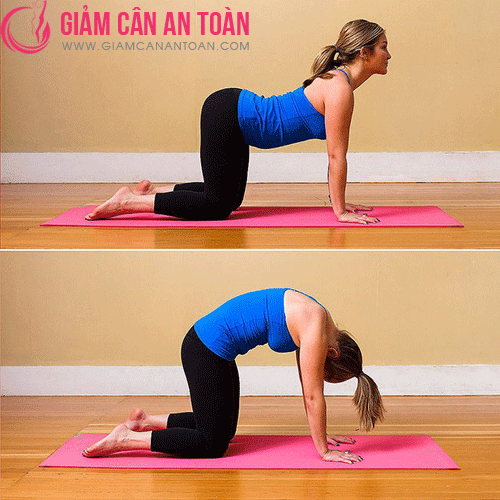 tu-van-bai-tap-yoga-giup-nguoi-tap-giam-mo-bung-va-dui-hieu-qua.-2