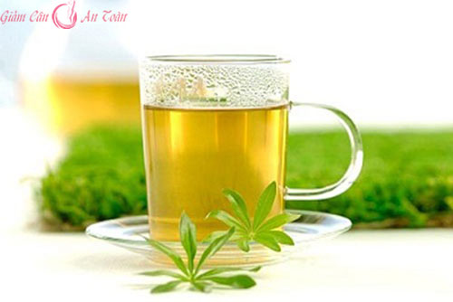 Vai trò của nước trong tập luyện giảm cân