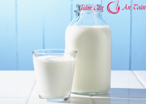Sữa và những chế phẩm từ sữa sẽ giúp bạn kiểm soát cân nặng tốt hơn