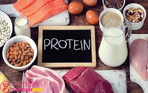 Nhóm protein giúp người dùng no lâu nên phù hợp cho chế độ ăn kiêng