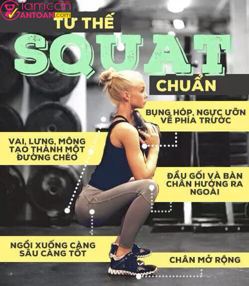 Squat giúp giảm mỡ bụng rất hữu hiệu