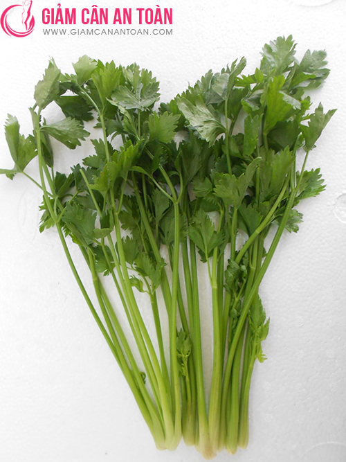 nhung-ly-do-pha-hong-qua-trinh-giam-can-cua-ban-ma-ban-can-luu-y.5