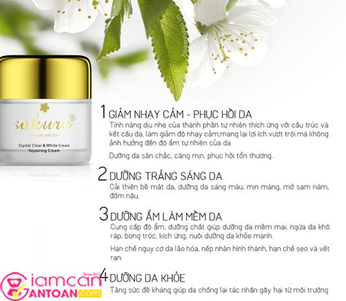 Kem Dưỡng Trắng Chống Lão Hóa Phục Hồi Da Ban Đêm Sakura Crystal Clear & White Cream Repairing Cream7