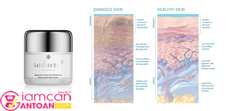 Kem Dưỡng Trắng Phục Hồi Sakura Absolute Perfect UV Protection Restorative Day Cream2