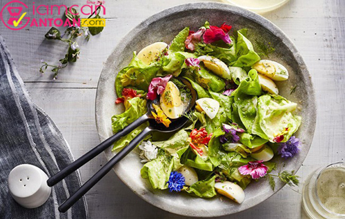 Những món salad tốt cho sức khỏe và giúp ích cho quá trình giảm cân của bạn4