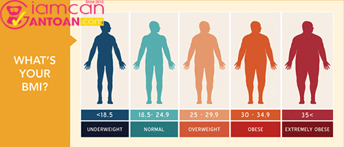 Cách tính chỉ số cơ thể để biết có nên giảm cân hay không?4