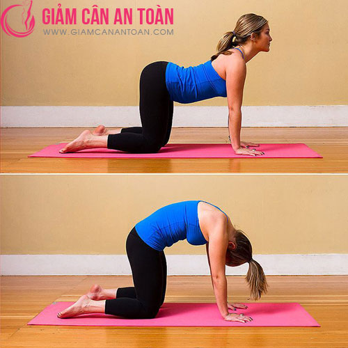 top-3-bai-tap-yoga-don-gian-giup-ban-giam-mo-thua-hieu-qua.