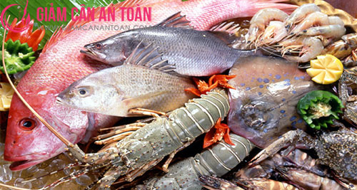 tu-van-nhom-thuc-pham-can-thiet-trong-qua-trinh-giam-can-sau-khi-sinh.