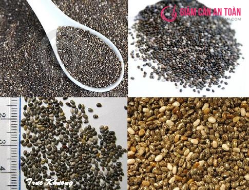 Chế độ giảm cân đầy dinh dưỡng cùng hạt Salvia (hạt chia) 2