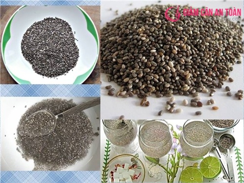 Chế độ giảm cân đầy dinh dưỡng cùng hạt Salvia (hạt chia) 5