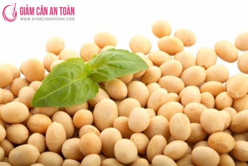 top-nhung-thuc-pham-bo-sung-protein-giup-giam-can-3