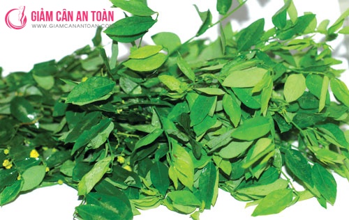 Những Siêu Thực Phẩm Gíup Bạn Gỉam Nhanh 2kg Trong 1 Tuần 2