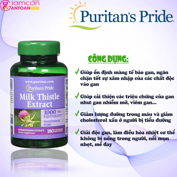 Milk Thistle Extract Puritan’s Pride hỗ trợ giải độc gan, hỗ trợ điều trị xơ gan