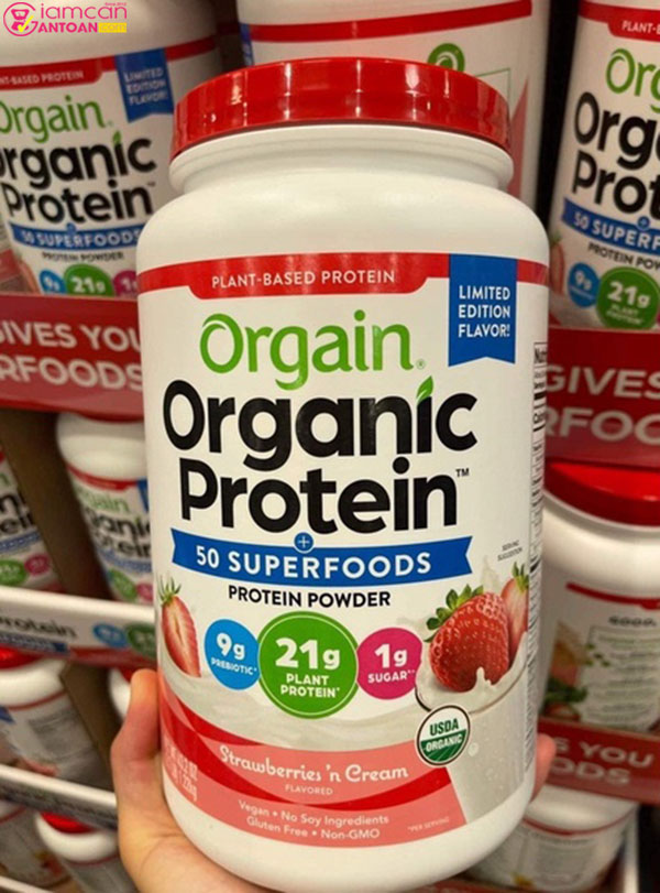 Orgain Organic Protein 