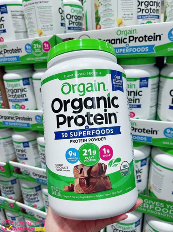 Orgain Organic Protein & Probiotics